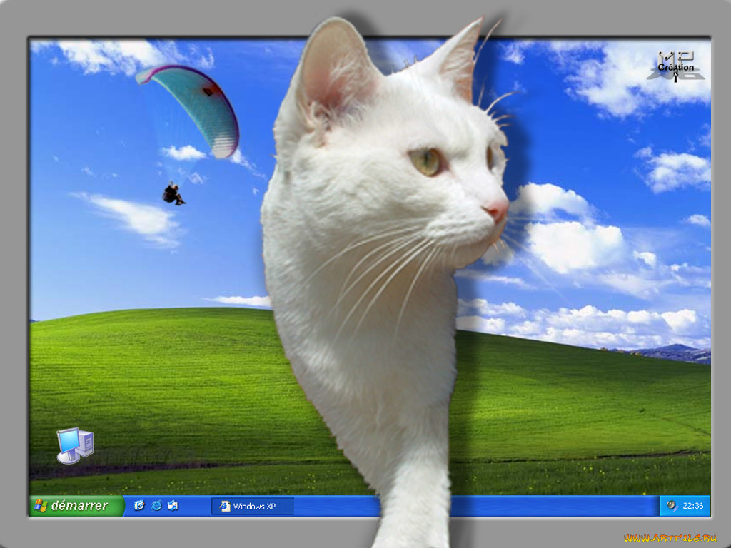 , windows, xp